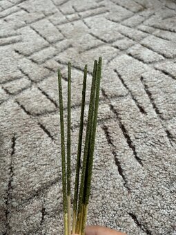 Domácí lízátka pro krevetky - 2