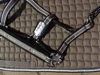 Set ESKADRON PONY - 2