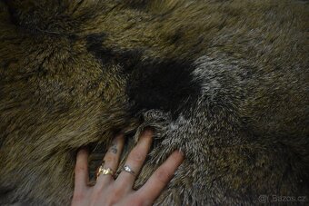 Kožešina Mufloně - Ručně zpracovaná kožešina z české zvěře - 2