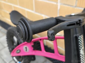 Firstbike Fat - 2