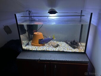 Kompletní akvárium se skřinkou - 2