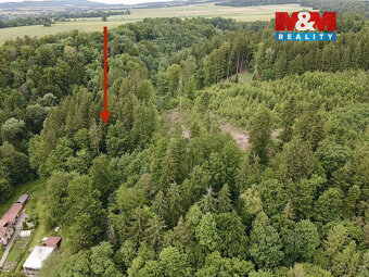 Prodej lesa, 2745 m², Ústí nad Orlicí - 2