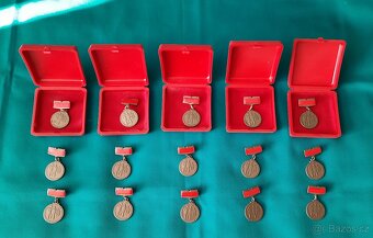 Bronzový odznak BSP - 2