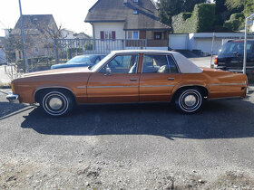 oldsmobil delta 88 - 2