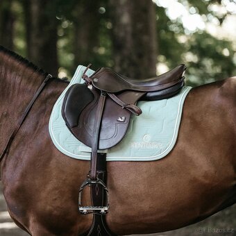 Podsedlova decka Kentucky Mint VS - 2