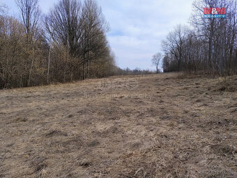 Prodej pozemku k bydlení, 1920 m², Dolní Moravice - 2