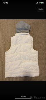 Vesta Guess - 2