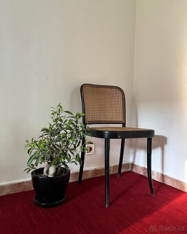 stará pletená židle - 2