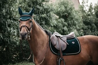 Podsedlova decka Kentucky DL pine green - 2