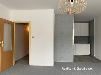 Prodej nově revitalizovaného bytu 1+kk v ul. Žežická v Ústí - 2