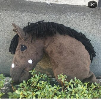 Hobby horse - 2