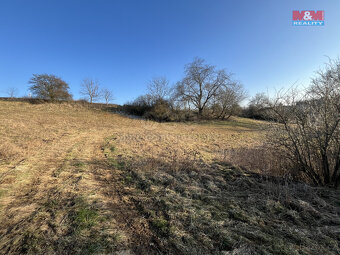 Prodej louky, 10890 m², Petrovice II - 2