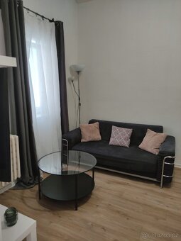 Ateliér 1+1 blízko Palmovky - 2