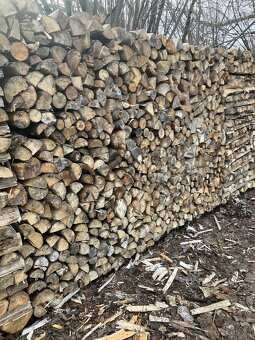 Palivové dřevo - 2