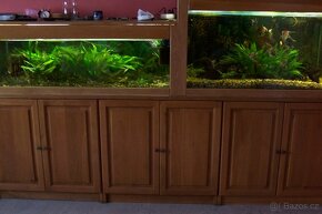 Akvarijní stěna - 2
