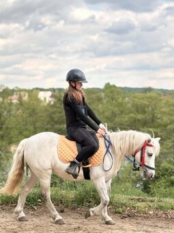 Bílá kobylka pony - 2