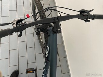 Panske kolo 29 Specialized - 2