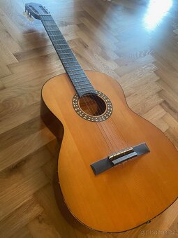 Kytara španělská Cremona Luby - 2