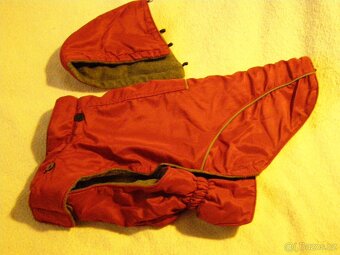 Daruji obleček a kšíry pro malého psa. - 2