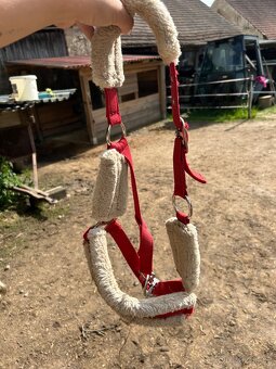 Pony ohlavka - 2