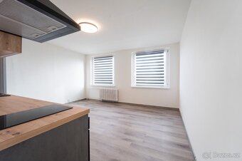 Pronájem bytu 1kk Chlumec - 2