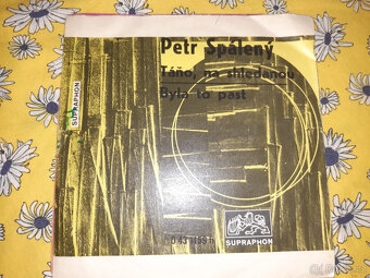 SP deska Petr Spálený - 2