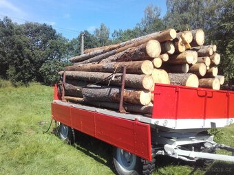 Kopím palivové dřevo - 2