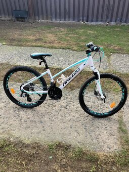 Dětské kolo 24 - 2