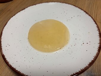 Scoby pro přípravu kombuchy - 2