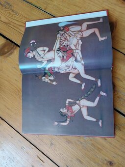Kamasutra - kompletní ilustrovaná - 2