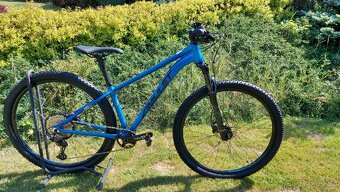 Amulet Rival 4.0 29 - 2