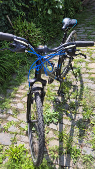 Kolo MaxBike - pánské - 2