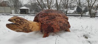 Dřevěný masivní samorost-želva. - 2