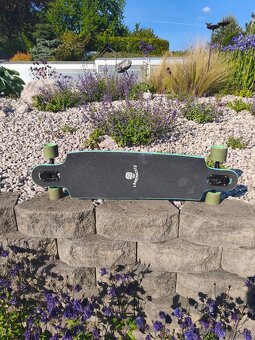 Longboard Landyachtz Drop Cat Illuminacion 38 - 2