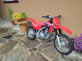 Honda CRF 125 2022 - 2