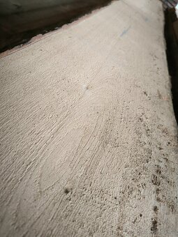 DUB prkna 32mm suché - 2