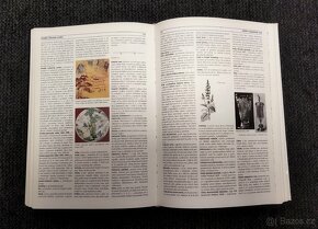 Ilustrovaná encyklopedie - 2