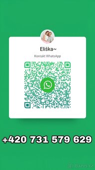 LumenTree s Trucki SUN-2000G2-H - 2