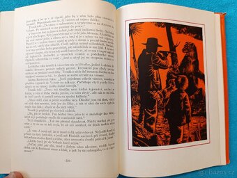 DÍTĚ DIVOČINY - M.K.Rawling - 2