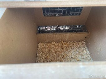 Prodám líheň. - 2