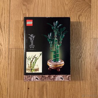 LEGO Botanicals 10344 Bambus štěstí - 2