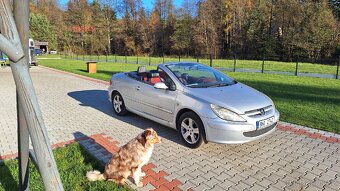 Peugot 307 cc - 2