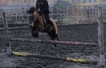 Sportovní pony - 2