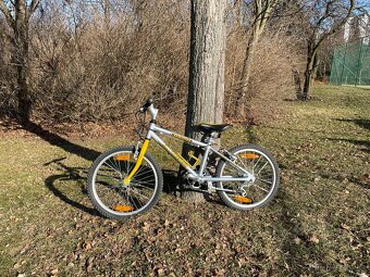 Dětské kolo Author Cosmic - 2