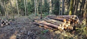 Palivové dřevo - zbytky z těžby - 2