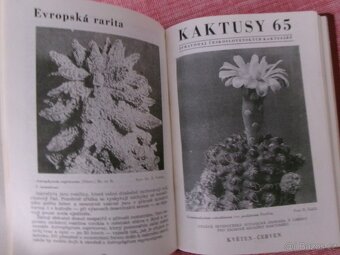 Kaktusy 1965 - 1985 - vázané časopisy. - 2