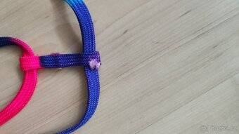 Vodítko a kšíry - 2