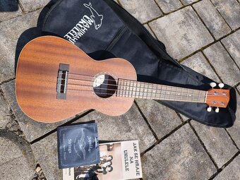 Ukulele - 2