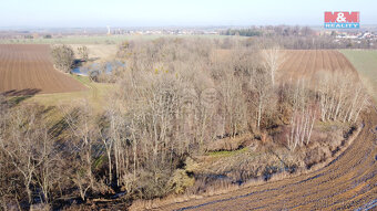 Prodej lesa, 2716 m², Neplachovice - 2