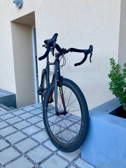 Pells Roar Campagnolo 11s - 2